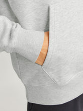 Ladda upp bild till gallerivisning, model_shot-detail