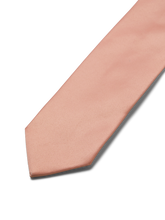 Ladda upp bild till gallerivisning, model_shot-detail