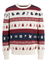 Ladda upp bild till gallerivisning, pack_shot-front